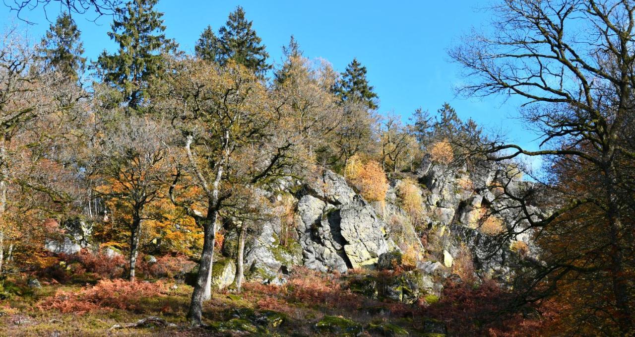 Sweet Home En Gaume Chiny Esterno foto